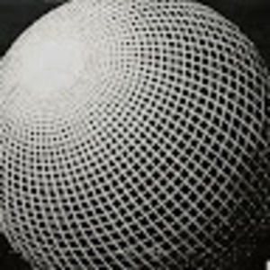 Meet your Posher, Jaden